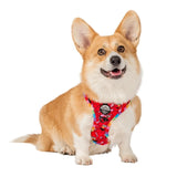 Upmarket Pets & Aquarium | Pablo & Co Elmo Harness | Shop dog harness collar & leads online