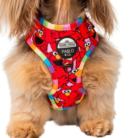 Upmarket Pets & Aquarium | Pablo & Co Elmo Harness | Shop dog harness collar & leads online