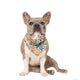 Upmarket Pets & Aquarium | Pablo & Co Grandmas Garden Bandana Medium | Shop dog apparel online