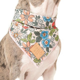 Upmarket Pets & Aquarium | Pablo & Co Grandmas Garden Bandana Medium | Shop dog apparel online