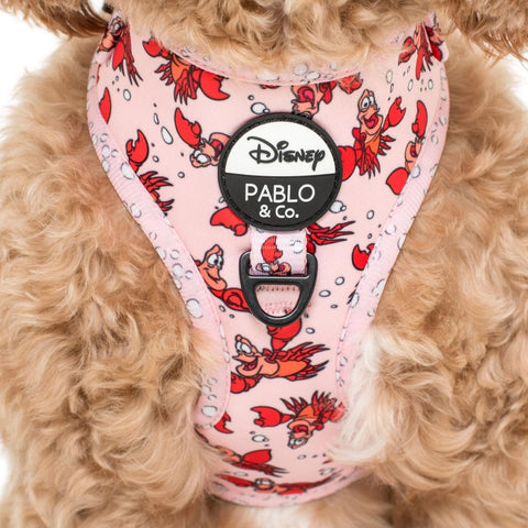 Upmarket Pets & Aquarium | Pablo & Co The Little Mermaid Sebastian Adjustable Harness Small | Shop dog collars & leads online