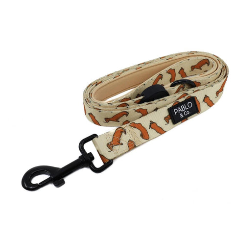 Pablo & Co Sleeping Sausages: Dog Leash