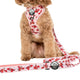 Upmarket Pets | Pablo & Co The Little Mermaid Sebastian Dog Lead 2.5 | Shop dog leads online