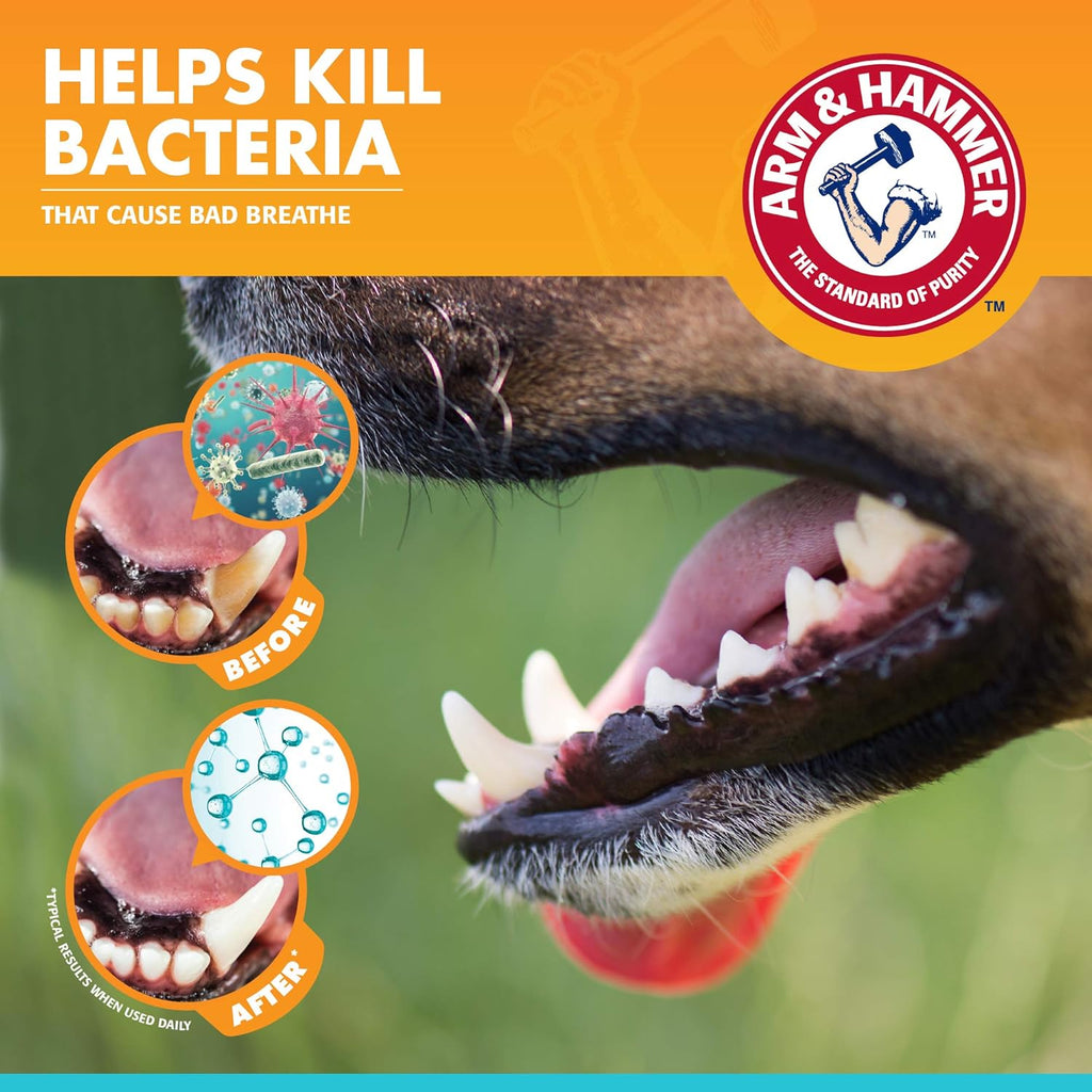 Arm & Hammer Fresh Breath Dental Kit For Dogs Vanilla Ginger