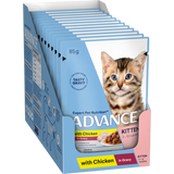 Advance Kitten Chunks In Gravy Chicken
