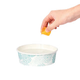 Arm & Hammer Complete Care Dog Dental Rinse