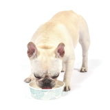 Arm & Hammer Complete Care Dog Dental Rinse