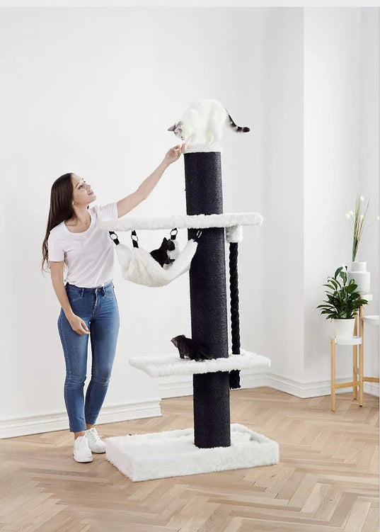 Bonofido - Wentworth