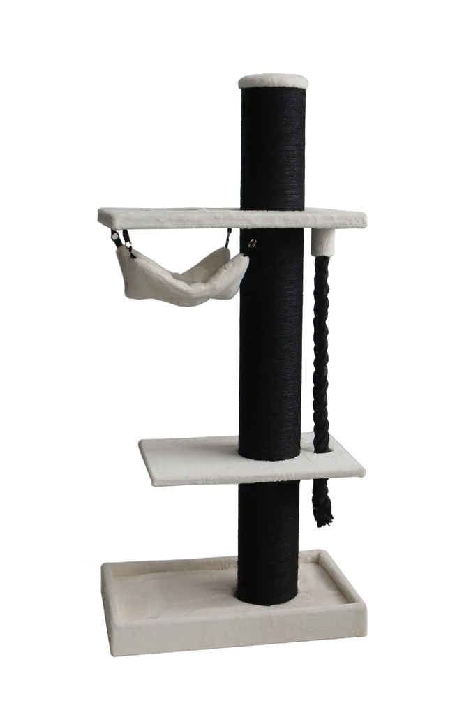 Bonofido - Wentworth