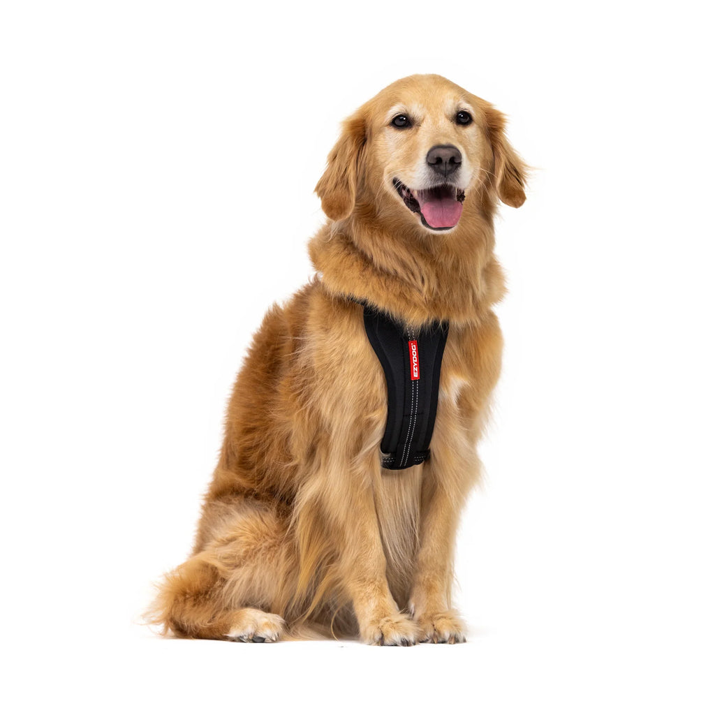 EzyDog Essential Chest Plate Harness