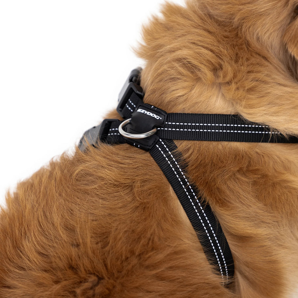 EzyDog Essential Chest Plate Harness