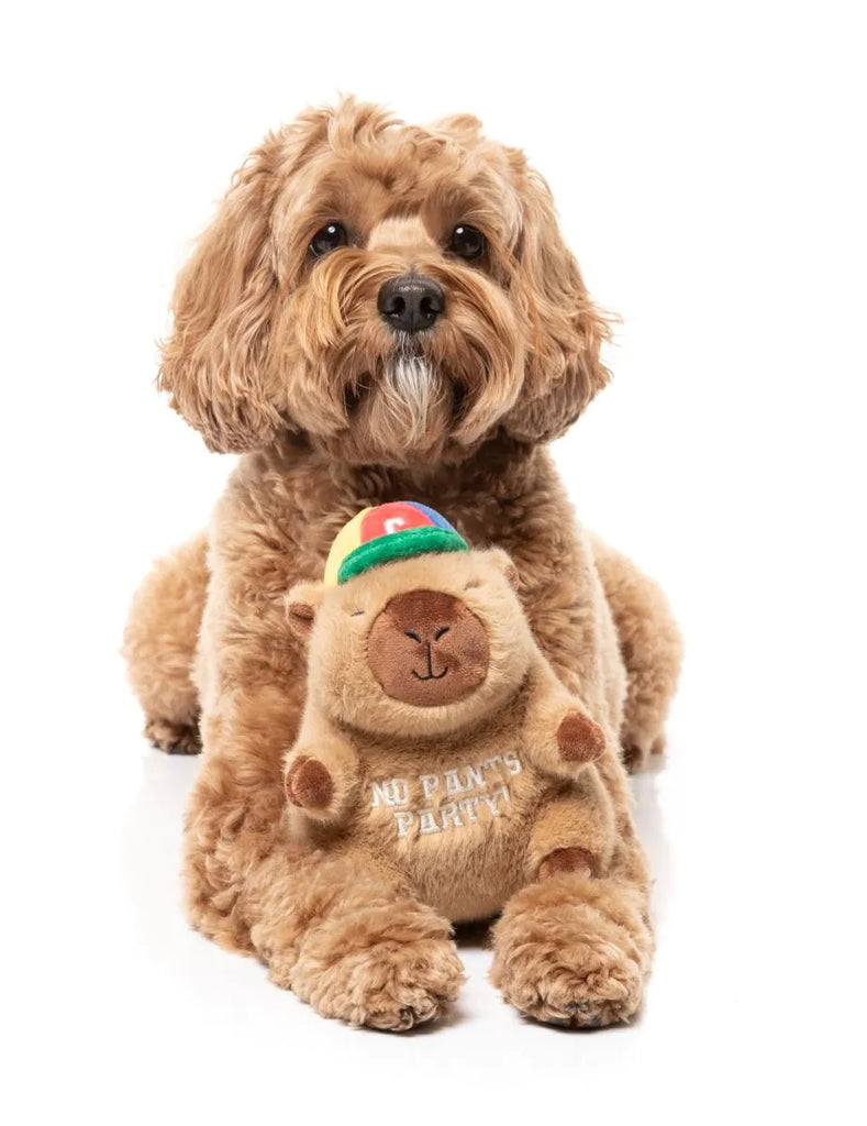 FuzzYard Dog Toy Capy-bara