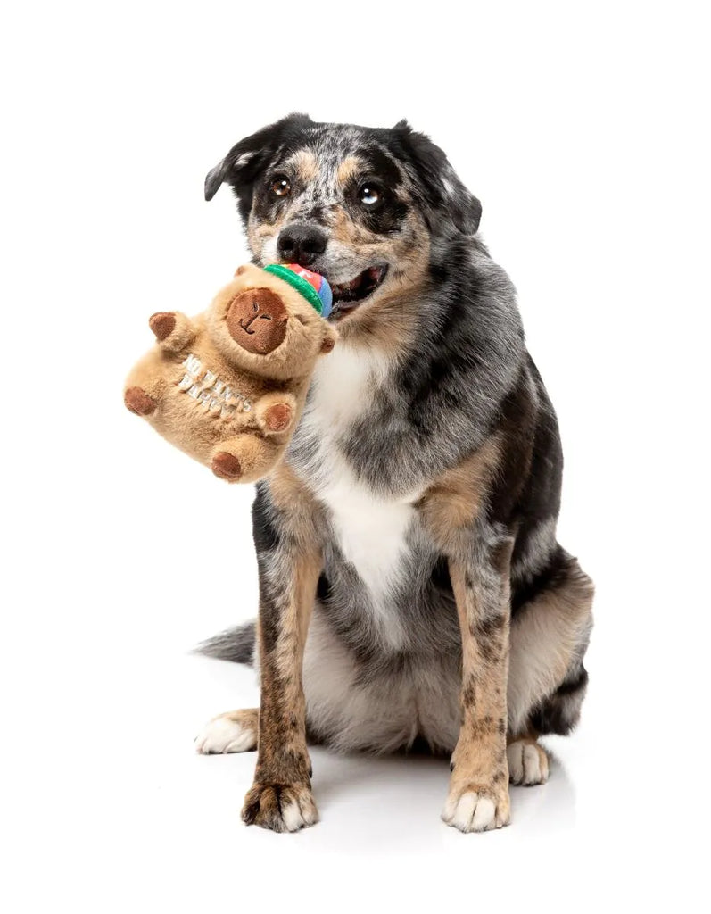 FuzzYard Dog Toy Capy-bara