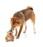 FuzzYard Dog Toy Capy-bara