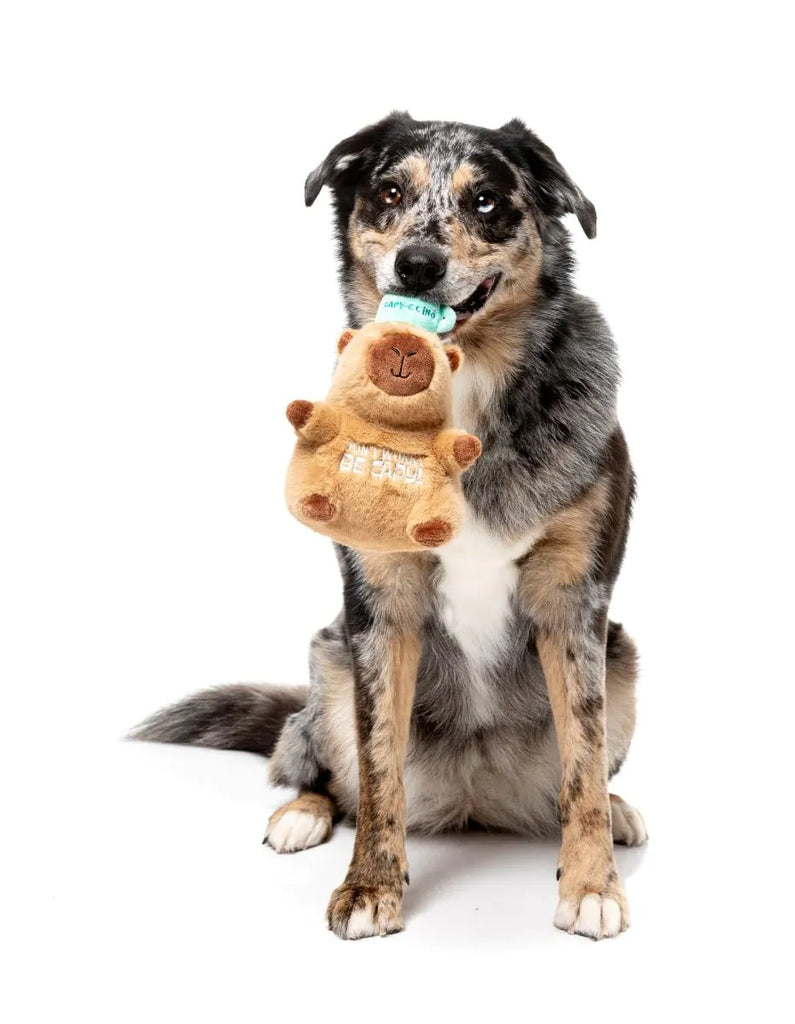 FuzzYard Dog Toy Capy-ccino