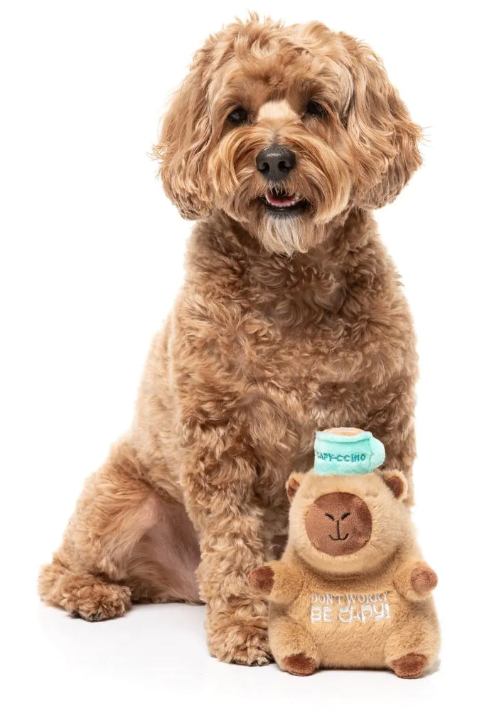 FuzzYard Dog Toy Capy-ccino