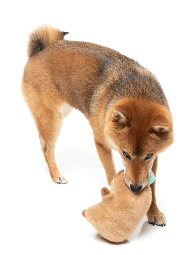 FuzzYard Dog Toy Capy-ccino