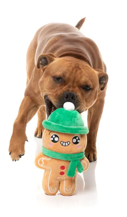 FuzzYard Dog Toy Holly Jolly Chillybread
