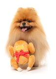 FuzzYard Dog Toy Let's Get Basted