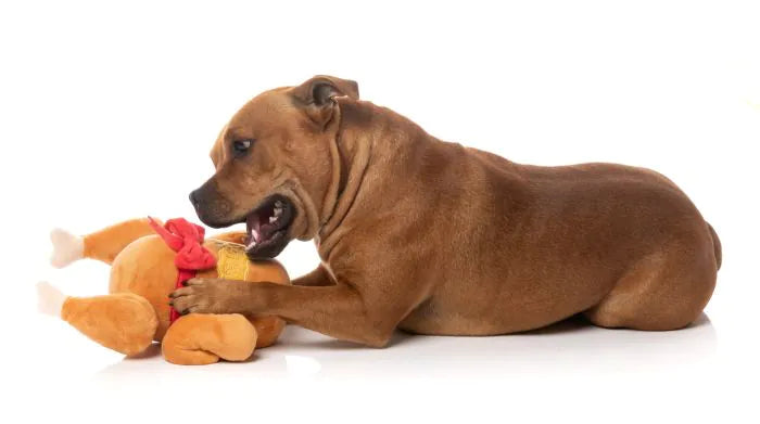 FuzzYard Dog Toy Let's Get Basted