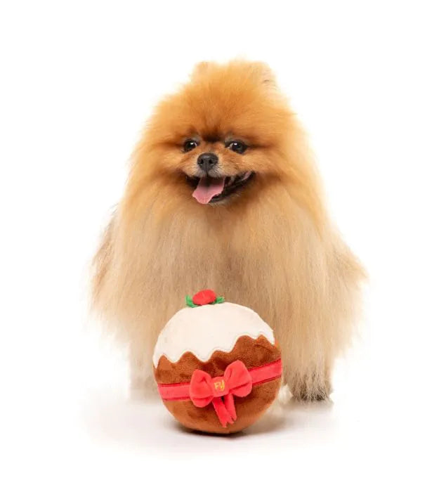 FuzzYard Dog Toy Merry Puddin