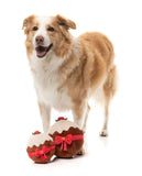 FuzzYard Dog Toy Merry Puddin