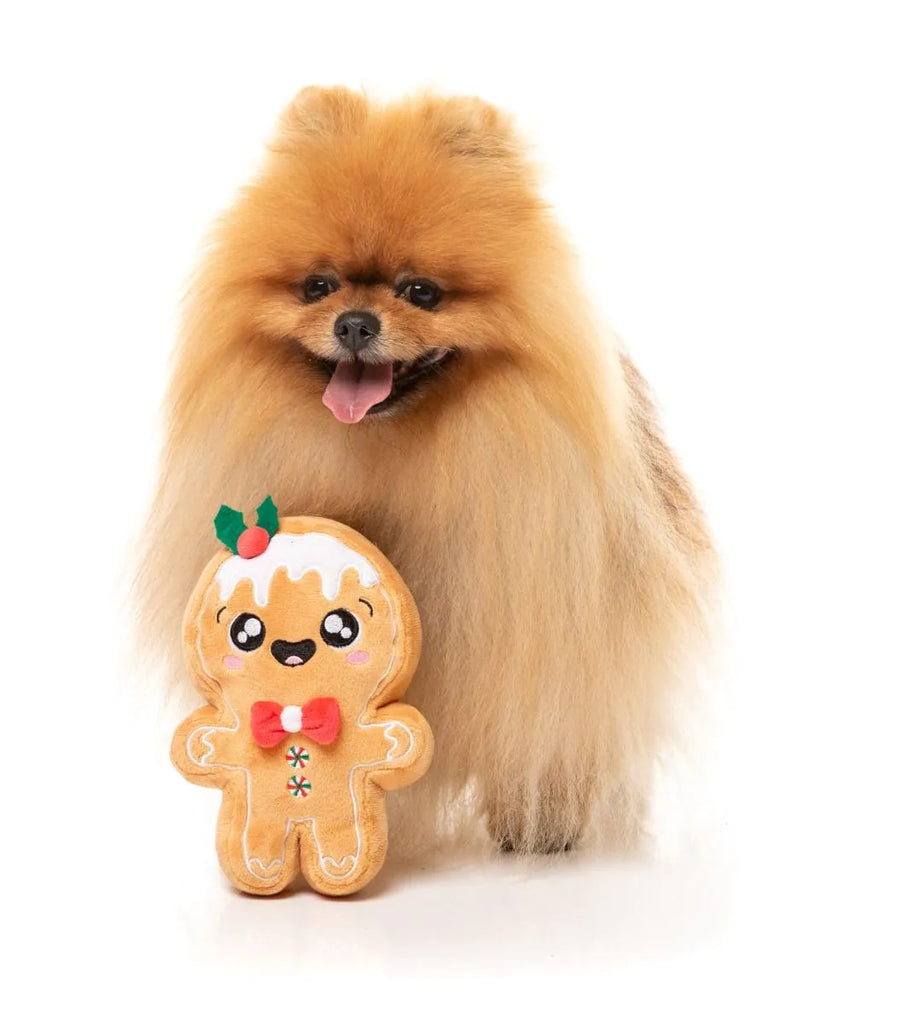Small dog holding a gingerbread man plush toy on a white background