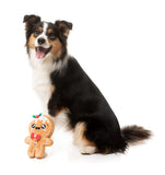 FuzzYard Dog Toy Mistle-dough