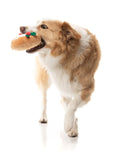 FuzzYard Dog Toy Mistle-dough