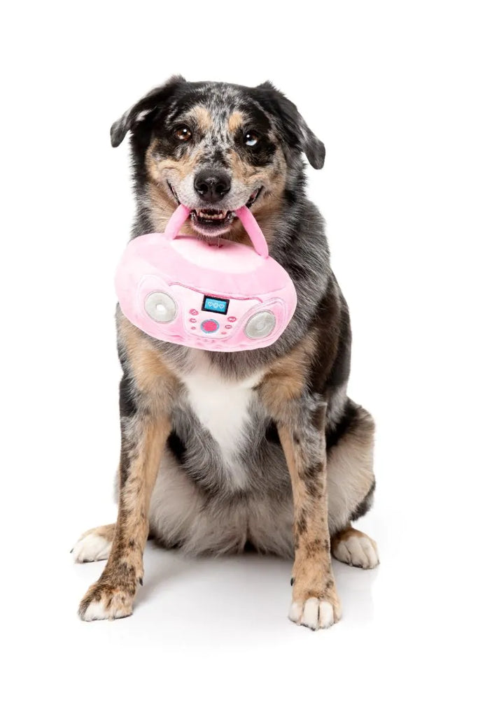 FuzzYard Dog Toy Portable CD Player