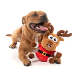 Dog playing with a reindeer plush toy on a white background