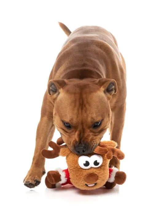 FuzzYard Dog Toy Reggie Claus Reindeer