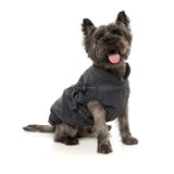 FuzzYard Flash Jacket