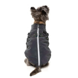 FuzzYard Flash Jacket