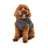 FuzzYard Flash Jacket