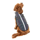 FuzzYard Flash Jacket