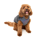 FuzzYard Flash Jacket