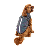FuzzYard Flash Jacket