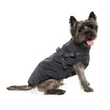 FuzzYard Flash Jacket