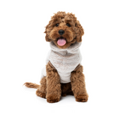FuzzYard Frosted Teddy Sweater