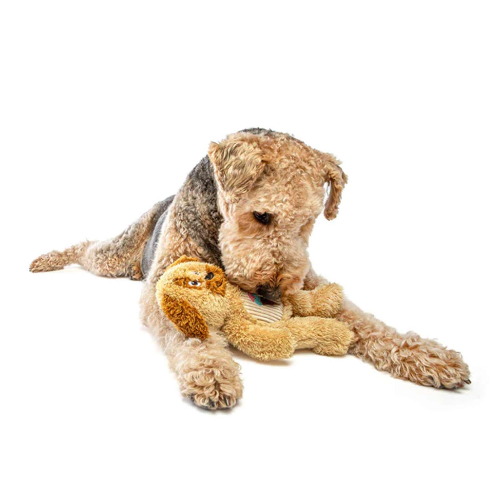 Guru Soft Scents Dog