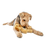 Guru Soft Scents Dog