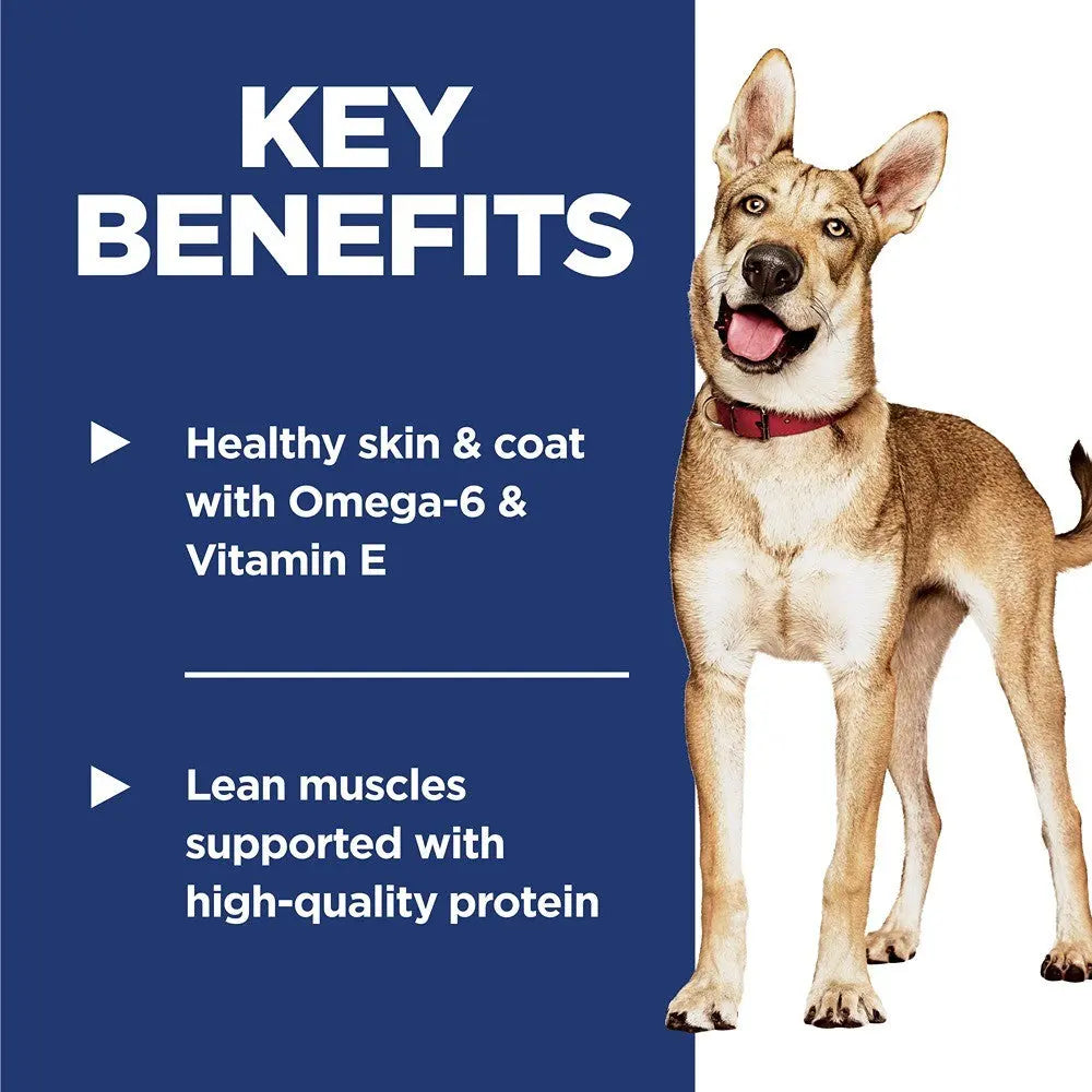 Hills Science Diet Dog Adult Salmon & Brown Rice Recipe