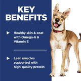 Hills Science Diet Dog Adult Salmon & Brown Rice Recipe