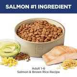 Hills Science Diet Dog Adult Salmon & Brown Rice Recipe