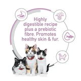Hills Science Diet Kitten Diet Sensitive Stomach & Skin Salmon & Veg