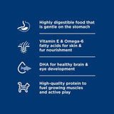 Hills Science Diet Kitten Diet Sensitive Stomach & Skin Salmon & Veg