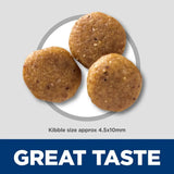 Hills Science Diet Puppy Diet Sensitive Stomach & Skin