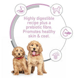 Hills Science Diet Puppy Sensitive Stomach & Skin Salmon Canned Dog Food