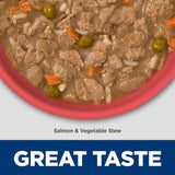 Hills Science Diet Puppy Sensitive Stomach & Skin Salmon Canned Dog Food